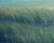 2010s California Sunset Landscape - "In the Distance" by Max Flandorfer For Sale - Image 5 of 6