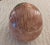 "Set of 8 Vietri Italy Faux Bois Coconut Lidded Boxes, Fern Leaf, Palm Beach" For Sale - Image 9 of 11