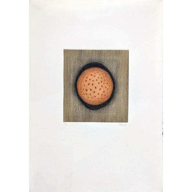 1970s Arthur Luis Piza, Space in Circles, 1974, Engraving For Sale - Image 5 of 5