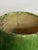 Early 20th Century Rustic Green European Pitcher For Sale - Image 9 of 12