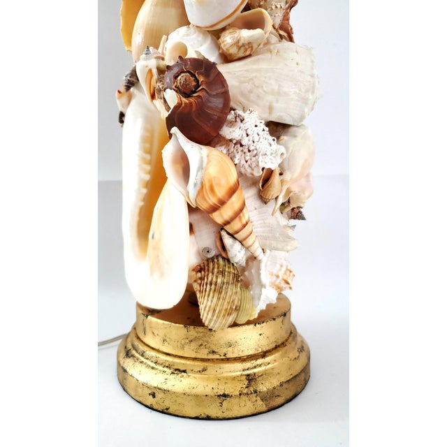Tan Lamp Seashells Shells Extra-Large Size - Restored For Sale - Image 8 of 17