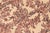 Shabby Chic Trellis 1990's Pak-Persian Ivory/Pink Wool Rug - 6'3'' X 9'1'' For Sale In New York - Image 6 of 9