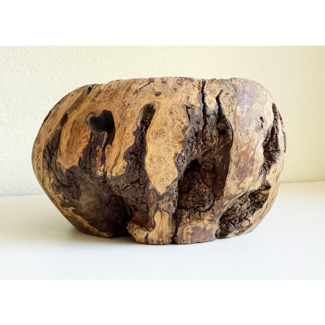 Brown 1970s Rustic Burl Wood Vessel For Sale - Image 8 of 12