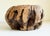 Brown 1970s Rustic Burl Wood Vessel For Sale - Image 8 of 12