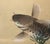 1970s 1970s Chinese Painted Screen "Carps" For Sale - Image 5 of 18