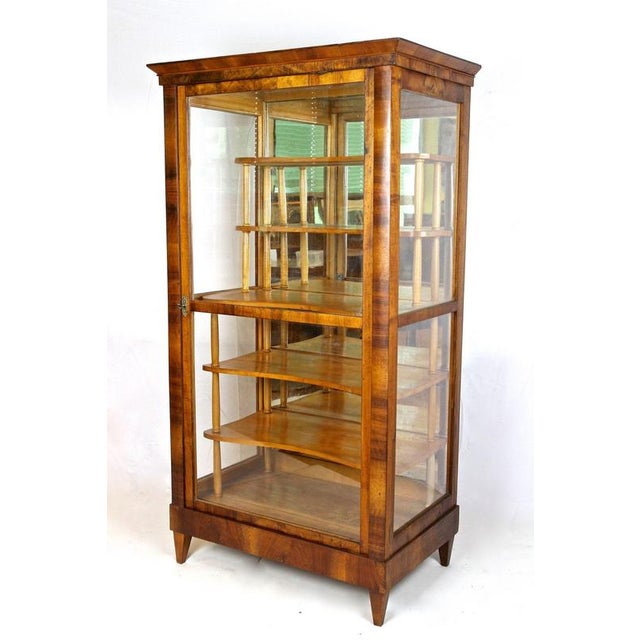 Metal 19th Century Biedermeier Display Cabinet in Vitrine and Nutwood, Austria, 1840 For Sale - Image 7 of 17