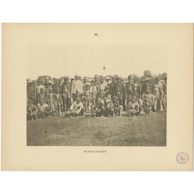 E.J. Brill,Twelve Aceh Atjeh, 1895, Print For Sale - Image 11 of 15