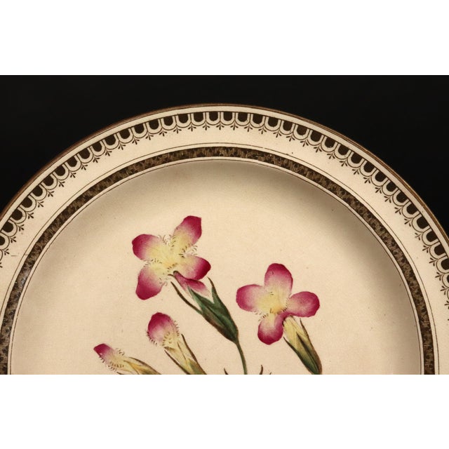 Mid 19th Century Wedgwood Creamware Botanical Specimen Plate With Pink Flowers and Brown Printed Border Dated 1862 For Sale - Image 5 of 11