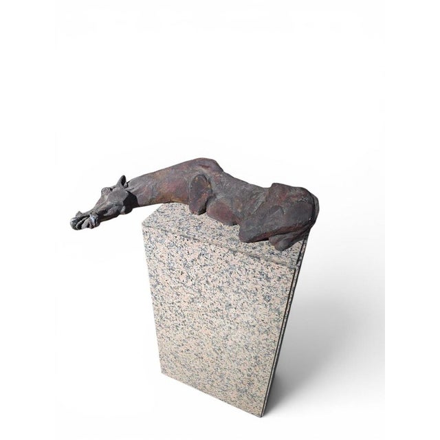 Greek Horse Sculpture on Granite Base by Alfredo Lanz, Italy, 1950s For Sale - Image 9 of 12