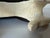 Black Vintage Southwestern Folk Art - Style Handcrafted Wooden Dachshund Dog Sculpture For Sale - Image 8 of 12