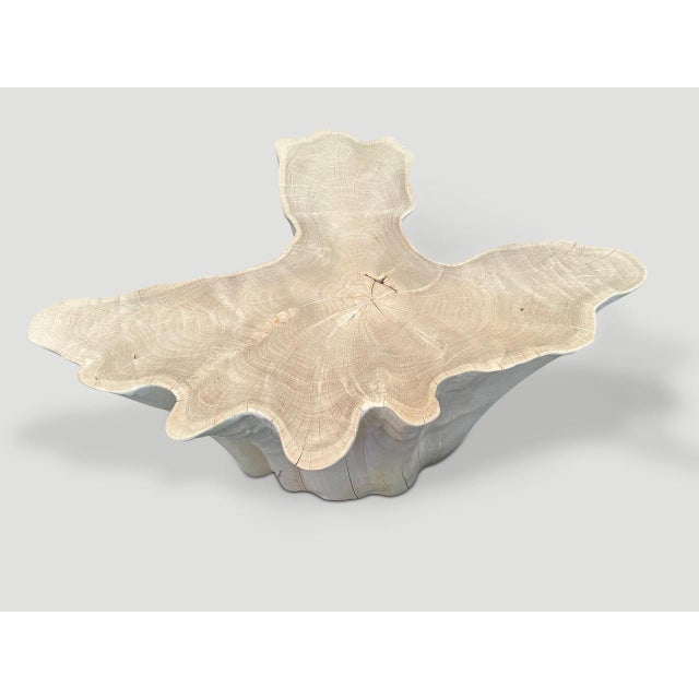 Andrianna Shamaris Amorphous Bleached Teak Wood Coffee Table For Sale - Image 13 of 18