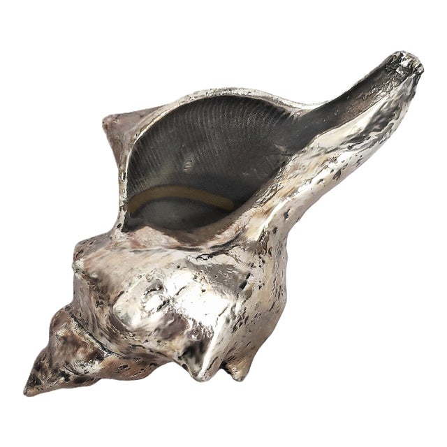 Real Shell Seashell Silver Alloy Dipped For Sale