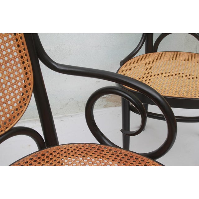 1990s Model 207 R Chairs by Michael Thonet for Thonet, 2000, Set of 6 For Sale - Image 5 of 16
