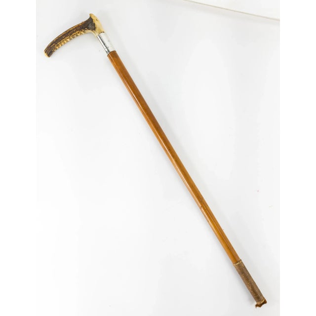 20th Century Sterling Silver and Stag Horn Antler Riding Crop | Chairish