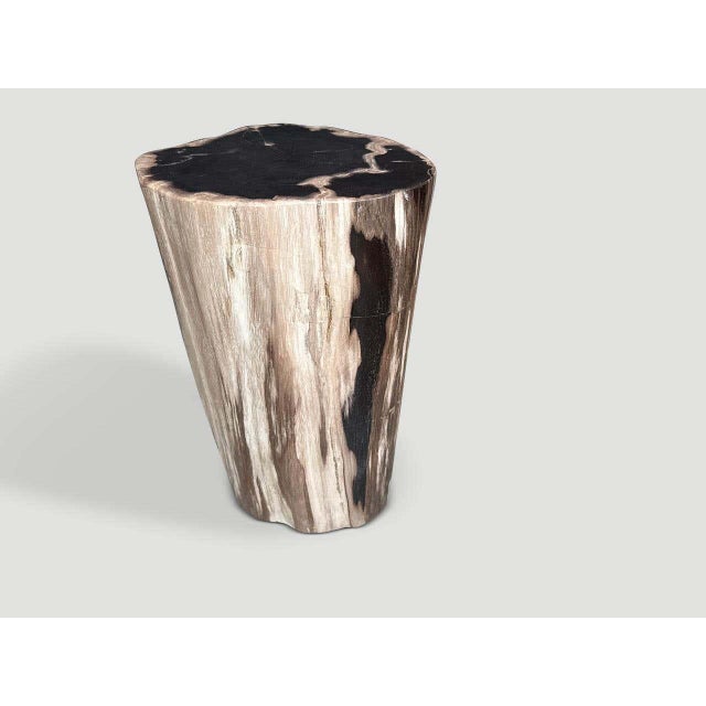 "Beautiful beige and black tones on this minimalist ancient high quality petrified wood side table. It’s fascinating how...
