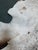 7ft X 8ft Hair on Hide Cow Print Area Rug For Sale - Image 9 of 12
