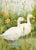 Serene Marshland Duo: Pair of White Geese Amidst Green Reeds and Orange Blossoms, 9"x12" For Sale