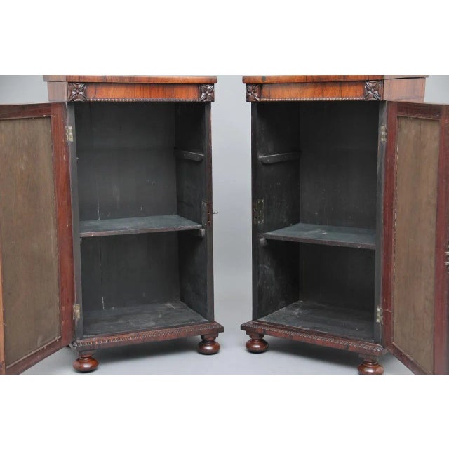 Rosewood Pedestal Cabinets, 1830s, Set of 2 For Sale - Image 13 of 14