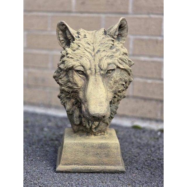 English Cast Stone Wolf Head Bust For Sale - Image 15 of 17