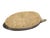 Wood Antique Swivel Head Mallard Decoy For Sale - Image 7 of 7