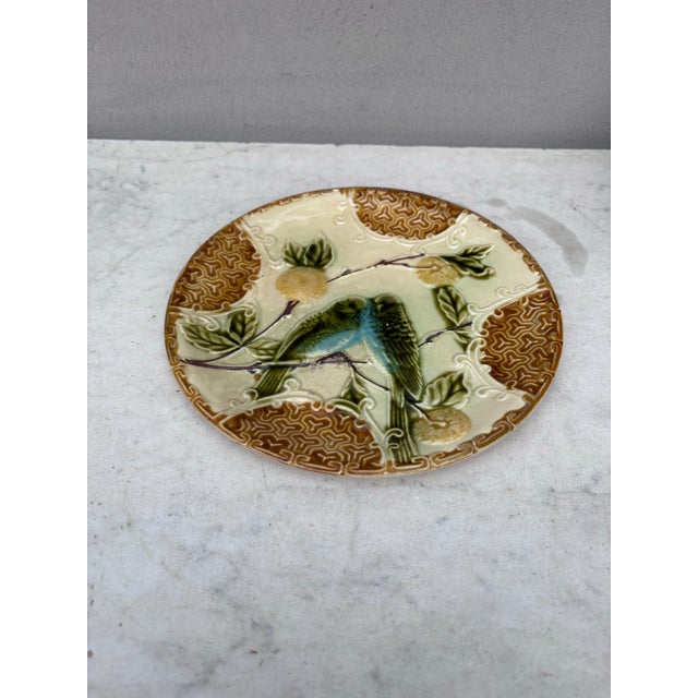 Majolica plate two parakeets with oranges Salins, circa 1890.