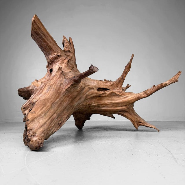 Wood Japanese Koboku Root Wood Sculpture, 1960s For Sale - Image 7 of 13