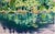 "August Lake”, an original oil painting on archival 8.5” x 14” Duralar*. Last photos show framing ideas. The watermark...