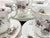 1970s Lavender Rose Tea Service for Six People from Royal Albert, 1970s, Set of 15 For Sale - Image 5 of 16