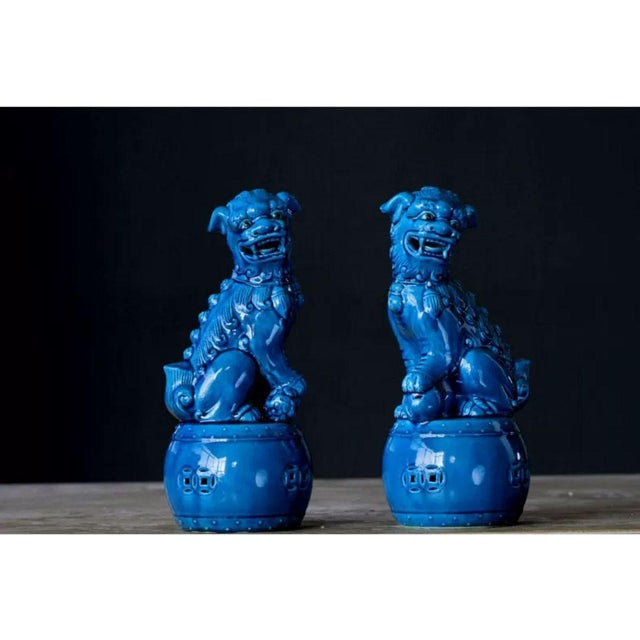 This striking pair of blue glazed porcelain guardian lions brings a bold, elegant presence to any interior. Each lion is...