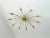 Kalmar Sun Ceiling Lamp by J.T. Kalmar, Vienna, 1960s For Sale - Image 4 of 9