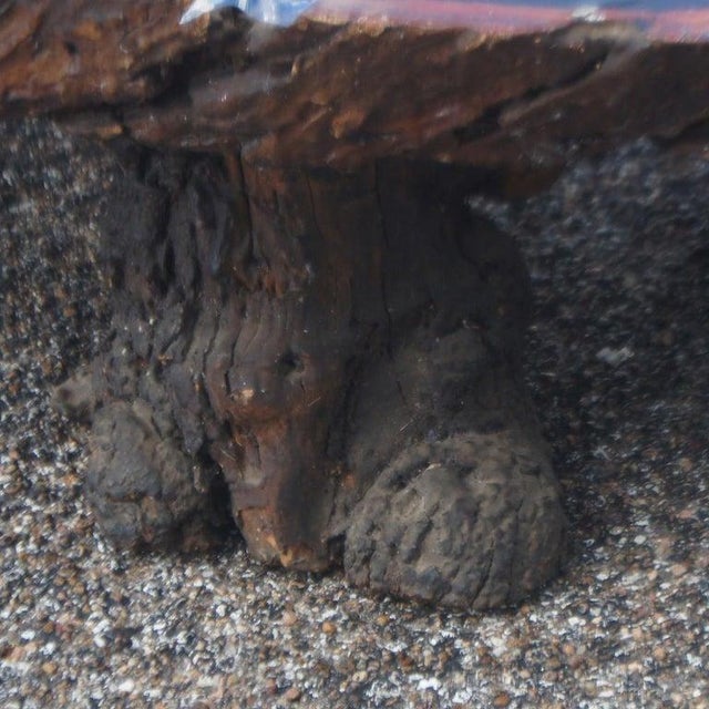 5ft Live Edge Redwood Coffee Table For Sale - Image 4 of 7