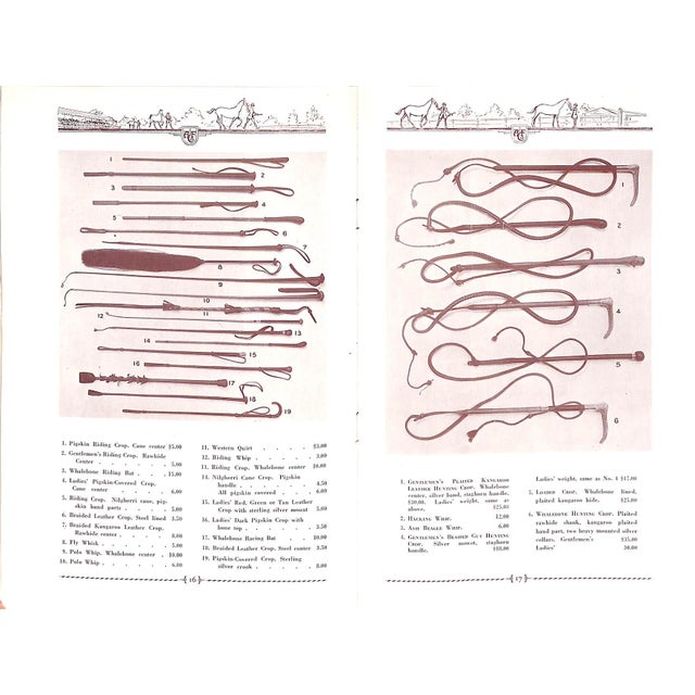 White Abercrombie & Fitch the Art of Riding For Sale - Image 8 of 14