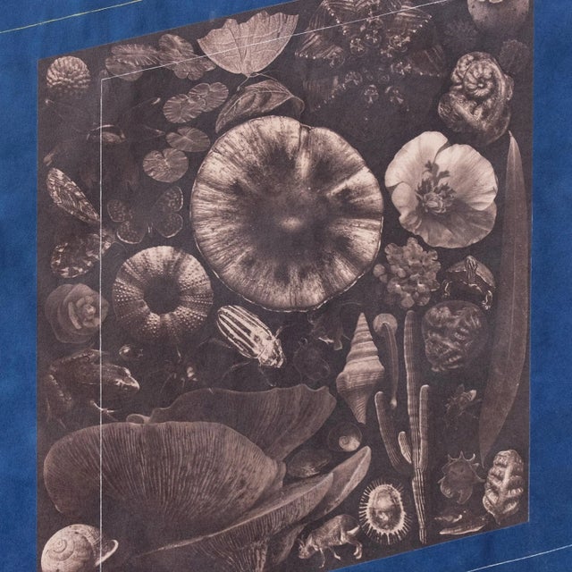 A Bleached and Toned Traditional Watercolor Cyanotype executed on Hahnemuhle Sumi-E Paper by artist Annalise Neal. A...