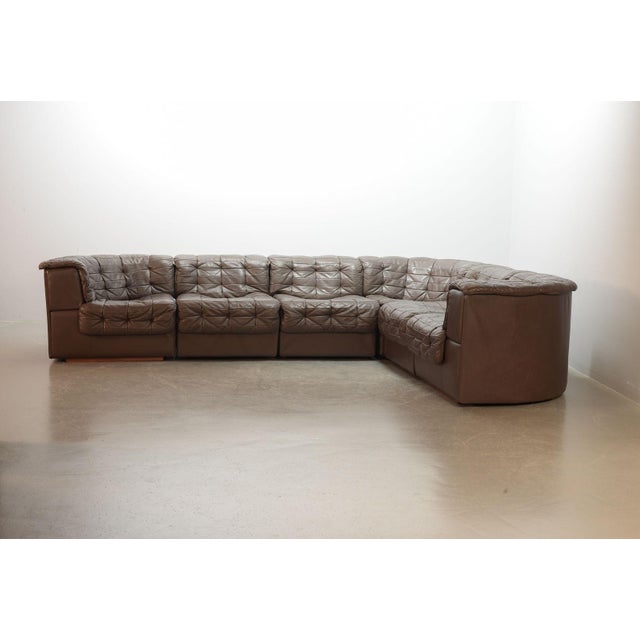 Vintage DS11 Patched Seal Brown Leather Modular Sofa from De Sede, 1970s, Set of 6 For Sale - Image 13 of 13