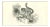 Paul Gervais, Hapalemure ou Maki Gris, 1854, Lithograph For Sale
