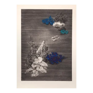 Yannick Ballif, Oh Divin Yu, Aquatint Etching