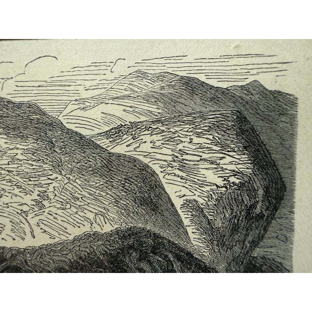 Glass Antique Wood Engraving of a Llama, C. 1860s–1890s, Beautifully Framed in Red For Sale - Image 7 of 11