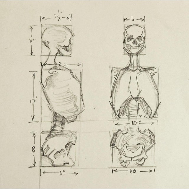 Mid 20th century pencil on paper drawing human anatomy study of skeleton. Unsigned. Unframed, age toning, light creasing.
