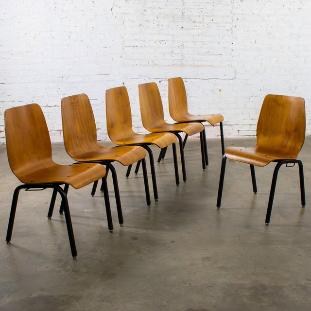 Late 20th to Early 21st Century Modern Walnut Molded Plywood Chairs Stackable Connectable Refinished Set of 6 For Sale - Image 9 of 18