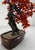 Chinoiserie Vintage Chinese Polished Glass Leaves on Bonsai Tree For Sale - Image 3 of 11