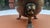 Late 19th-century English brass bowl with lion mask and paw feet, dimensions: height: 8.8 cm, diameter: 11.5 cm.