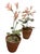 Dark Pink Pair of Artisan Flowers For Sale - Image 8 of 12