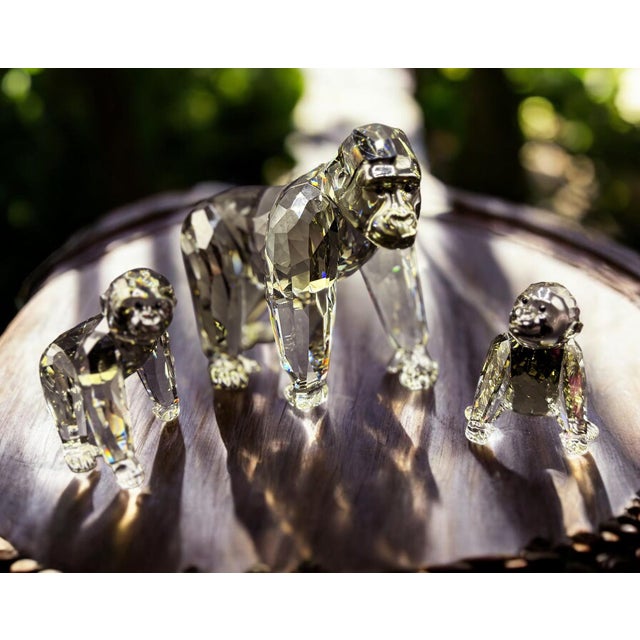 SCS Annual Edition 2009 Gorillas Family from Swarovski, Set of 3 For Sale - Image 4 of 18