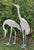 1920s Monumental Pair of Life-Size Bronze Crane Garden Sculptures With Verdigris... For Sale - Image 16 of 18