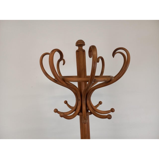 Parrot Coat Rack from Gebrüder Thonet For Sale - Image 9 of 18
