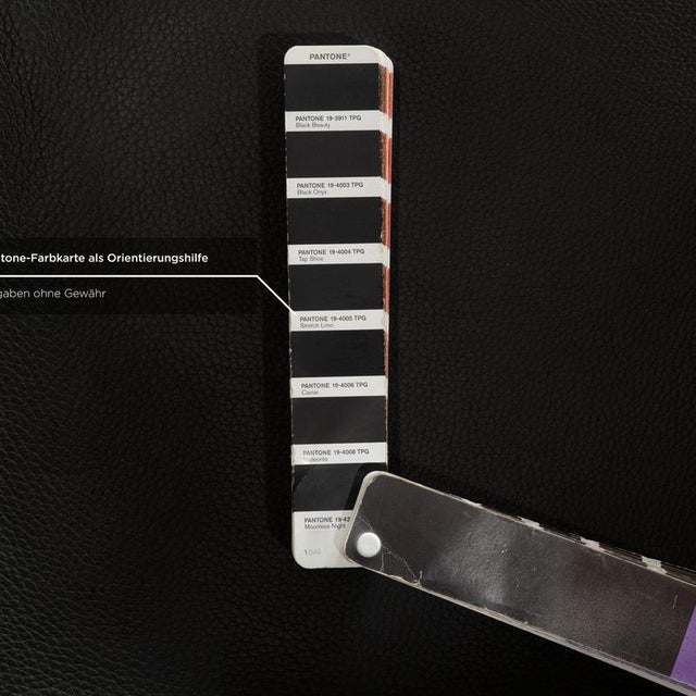 FK Black Leather Armchairs in Black from Walter Knoll / Wilhelm Knoll, Set of 2 For Sale - Image 6 of 12