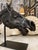 19th Century American Carved Wood Horse Head For Sale - Image 11 of 12