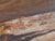 Not Yet Made - Made To Order Epoxy Coated Petrified Wood Coffee Table by Xyleia Petrified Wood For Sale - Image 5 of 7
