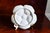 Chinoiserie Antique Limoges T v Oyster Plate, Jones McDuffee & Stratton, Hand-Painted Shells, C. 1892-1907 For Sale - Image 3 of 10