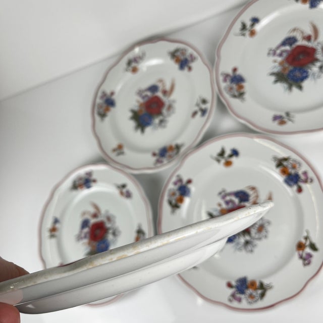 Vintage Agreste Dinner Plates from Sarreguemines, 1980s, Set of 6 For Sale - Image 13 of 14